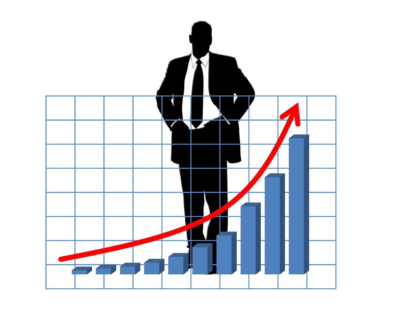 organic business growth